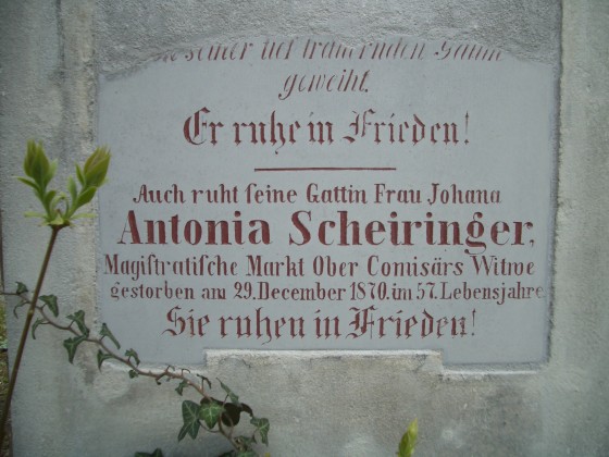Antonia Scheiringer
