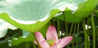 China  –  Reich der Mitte – Reich der Kontraste