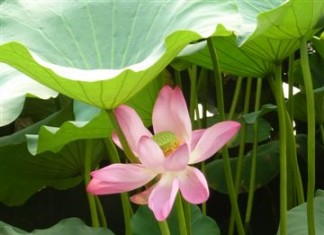 China  –  Reich der Mitte – Reich der Kontraste