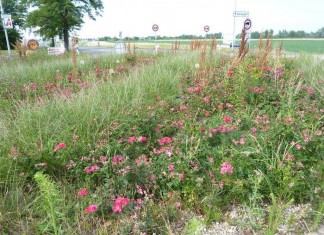 Die Nobelbezirke Wiens