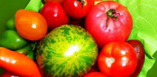 Im Paradies der Paradeis von Erich Stekovics