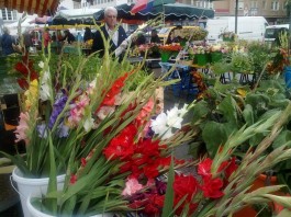 Der Floridsdorfer Markt.