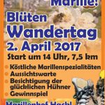 Marillen Wandertag 2017