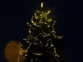 O Marillenbaum, O Marillenpunsch!