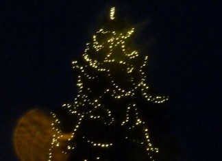 O Marillenbaum, O Marillenpunsch!