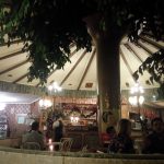 Cafe-Restaurant-Cobenzl-Ficus-Manege-2