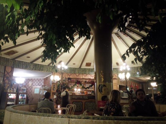 Cafe-Restaurant-Cobenzl-Ficus-Manege-2