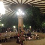 Cafe-Restaurant-Cobenzl-Ficus-Manege-3