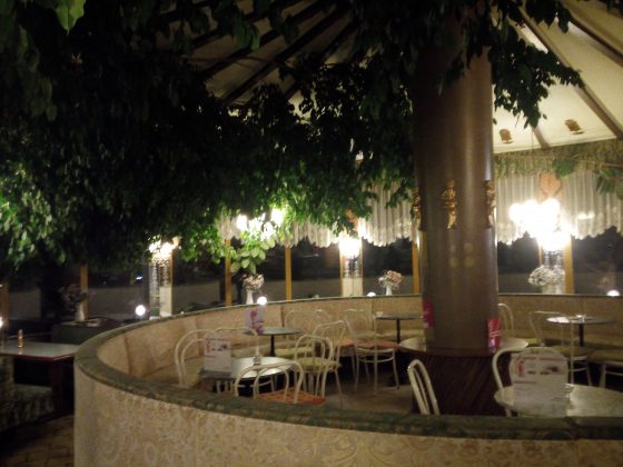 Cafe-Restaurant-Cobenzl-Ficus-Manege-4