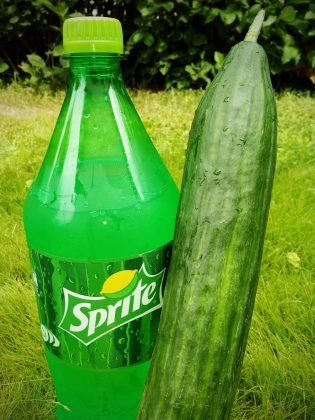 Sprite Cucumber mit Gurke