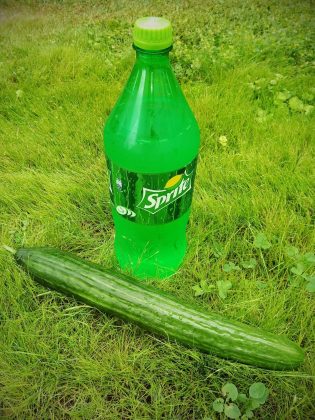 Sprite Cucumber mit Gurke