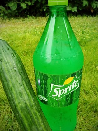 Sprite Cucumber mit Gurke